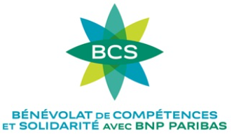 BCS - Bénévolat de Compétences et Solidarité